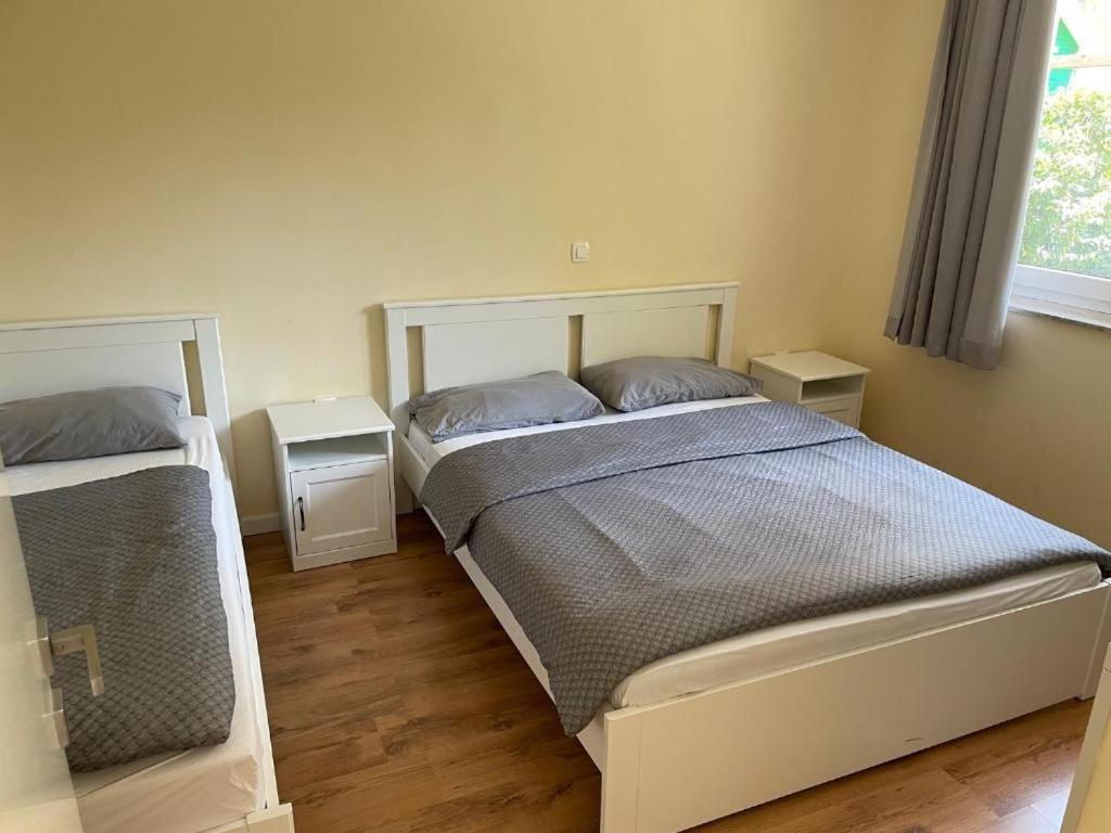 R41 - Tivoli Groundfloor Guest house Ljubljana