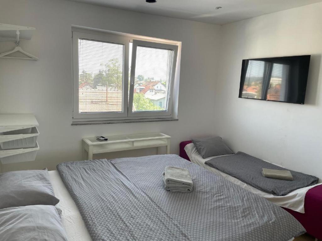 R41 - Tivoli Groundfloor Gostinjska kuća Ljubljana